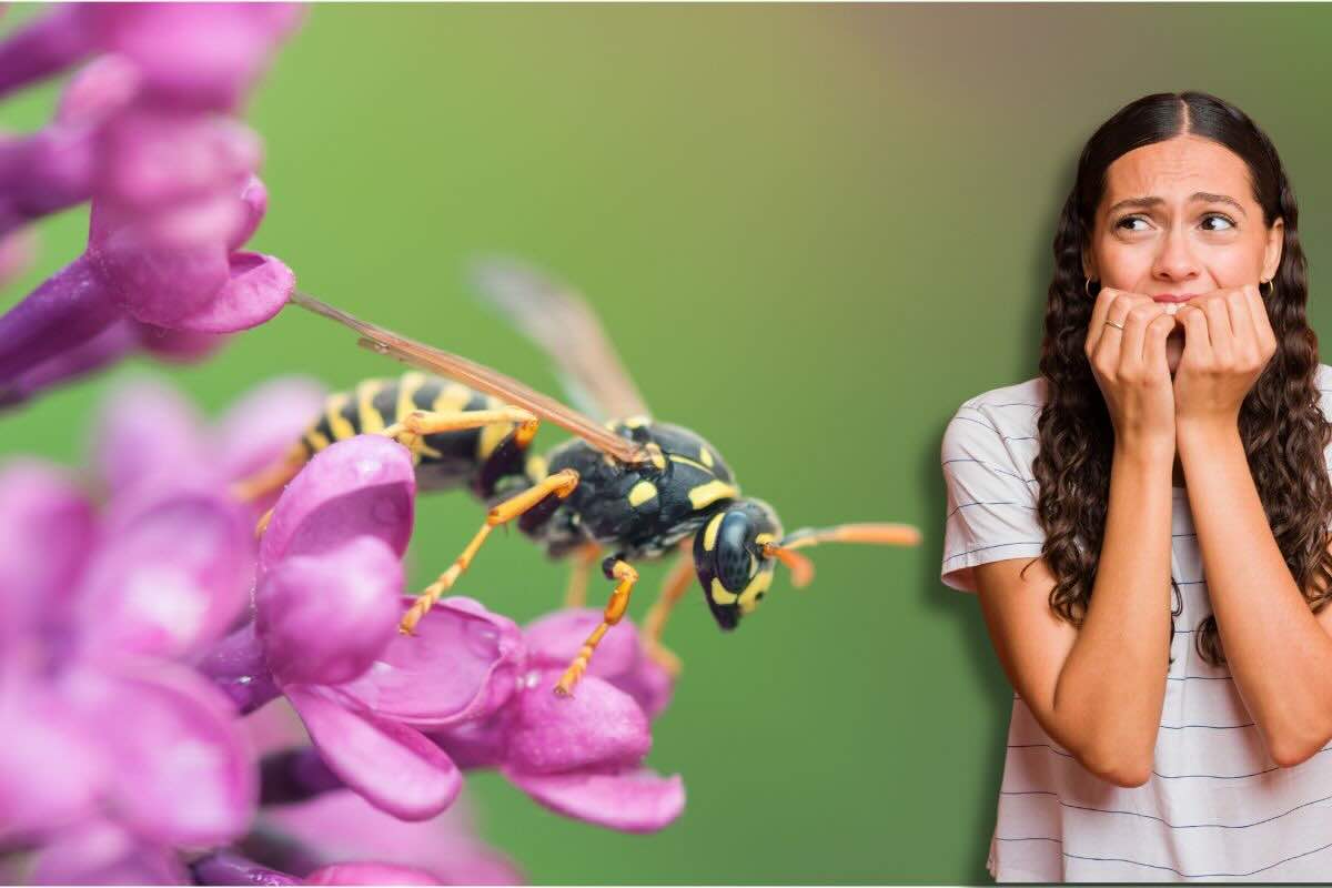 Vespa su un fiore, ragazza spaventata